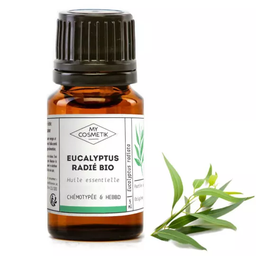 Biologische etherische olie van eucalyptusradijs